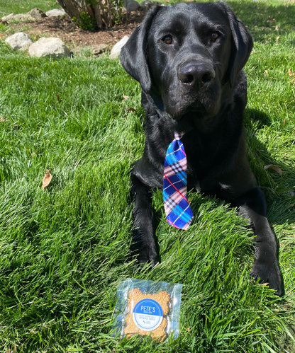 Peanut Butter Apple Granola Barks - Dog Treats - Pete from Pete's Snack Shop